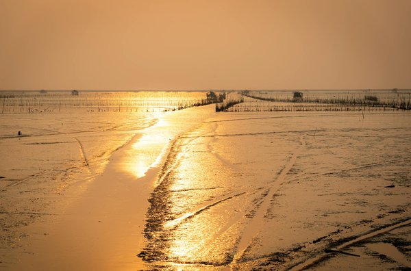 Les plus beaux circuits de camping écologique dans le monde