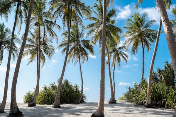 Où partir en mai au soleil sans se ruiner : 15 idées abordables